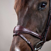 Anatomical Combination Bridle NE Brown Anatomical Combination Bridle NE Brown