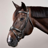 Anatomical Combination Bridle NE Black Anatomical Combination Bridle NE Black