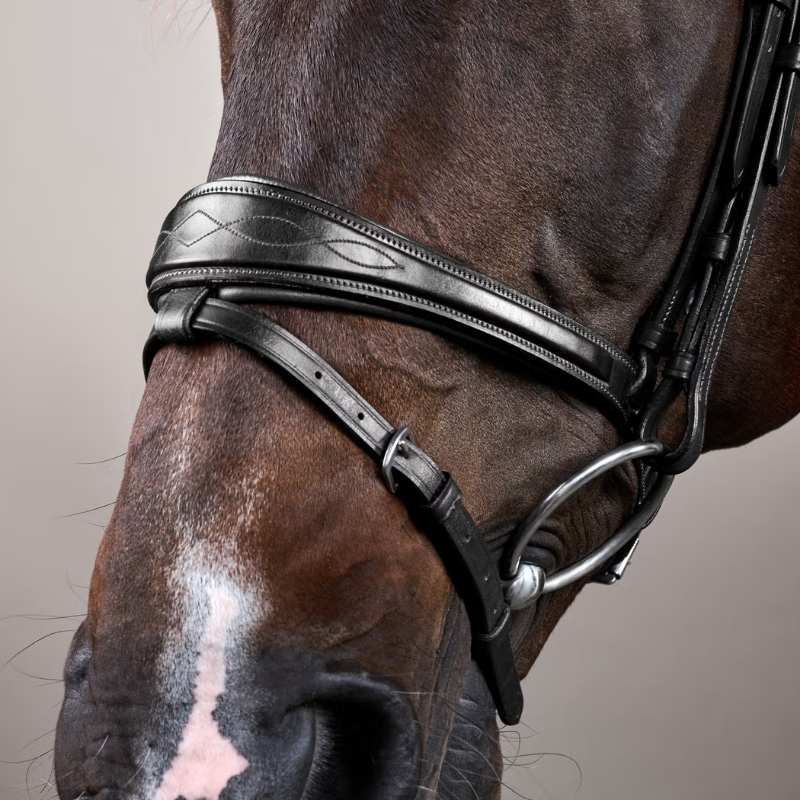 Anatomical Combination Bridle NE Black