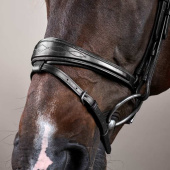 Anatomical Combination Bridle NE Black Anatomical Combination Bridle NE Black