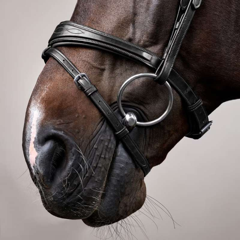 Anatomical Combination Bridle NE Black