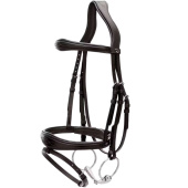 Anatomical Combination Bridle NE Black Anatomical Combination Bridle NE Black