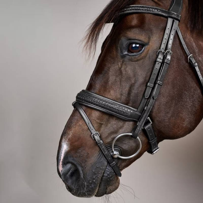 Bridle Plaited Pull Back New English Collection Black