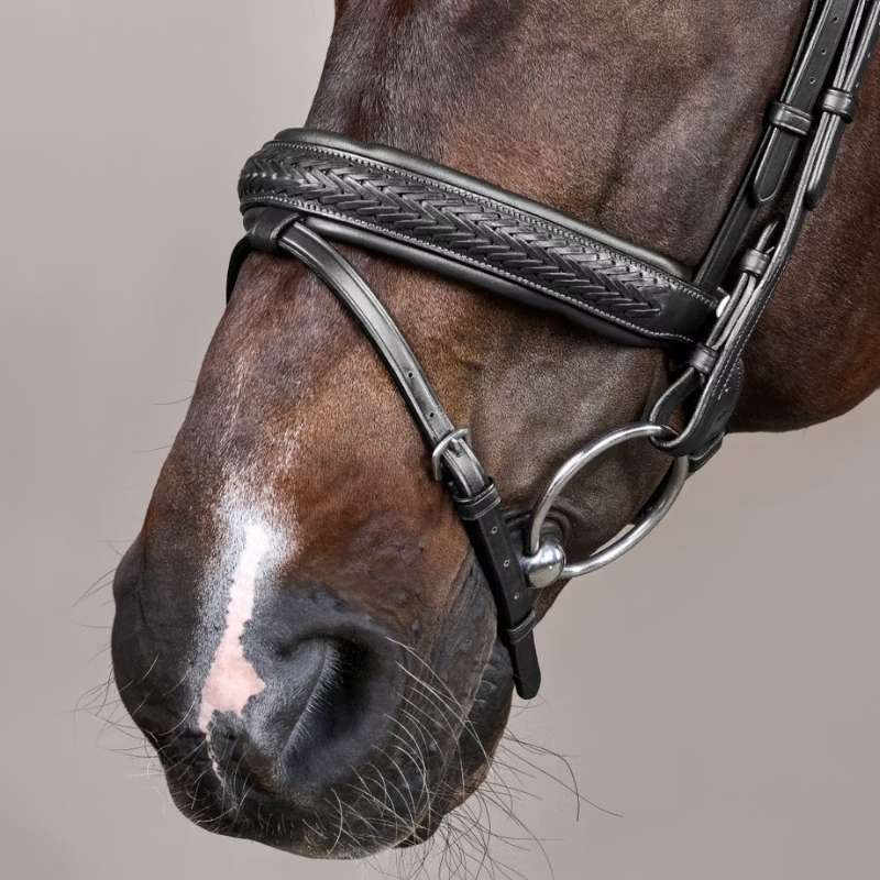 Bridle Plaited Pull Back New English Collection Black