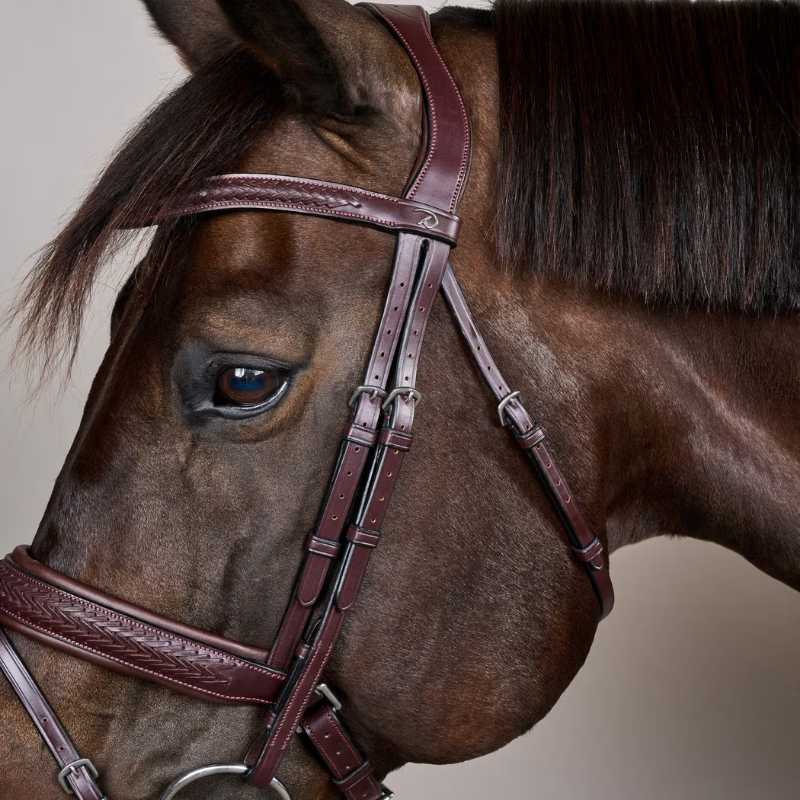Bridle Plaited Pull Back New English Collection Brown