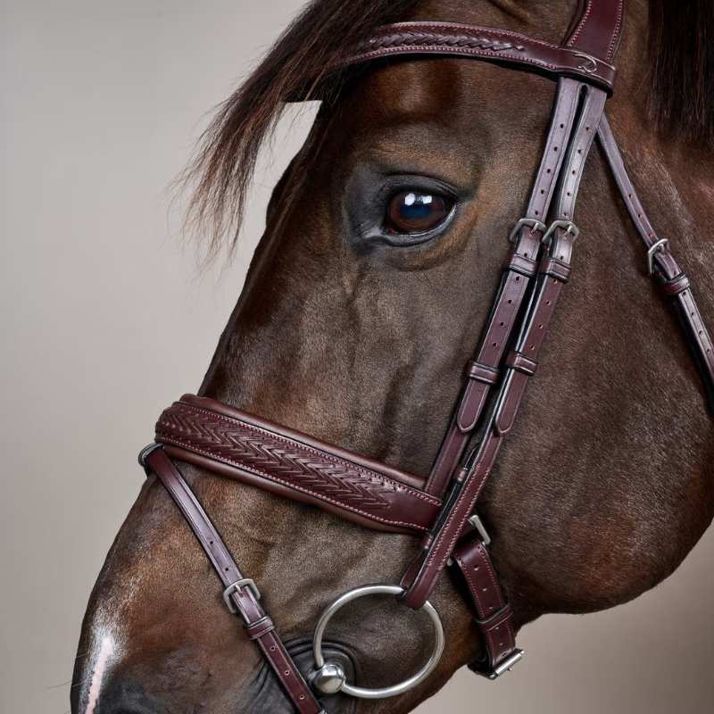 Bridle Plaited Pull Back New English Collection Brown