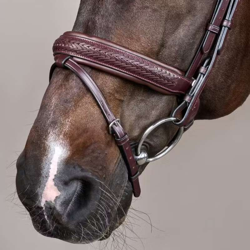Bridle Plaited Pull Back New English Collection Brown