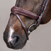 Bridle Plaited Pull Back New English Collection Brown Bridle Plaited Pull Back New English Collection Brown
