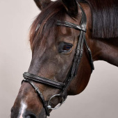 Flash Noseband Bridle Plaited New English Collection Black Flash Noseband Bridle Plaited New English Collection Black