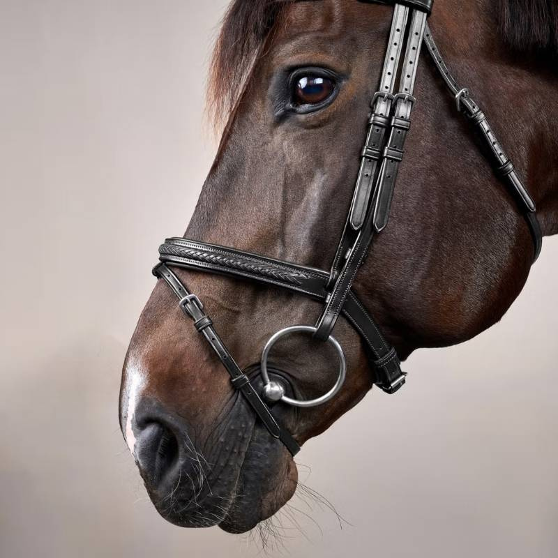 Flash Noseband Bridle Plaited New English Collection Black