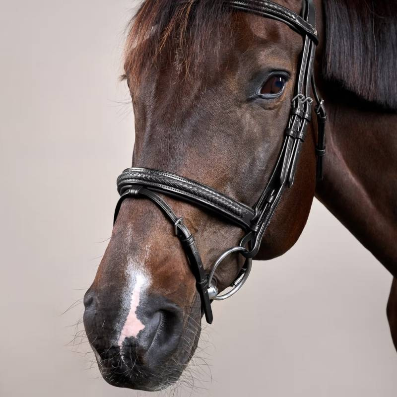 Flash Noseband Bridle Plaited New English Collection Black