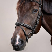 Flash Noseband Bridle Plaited New English Collection Black Flash Noseband Bridle Plaited New English Collection Black