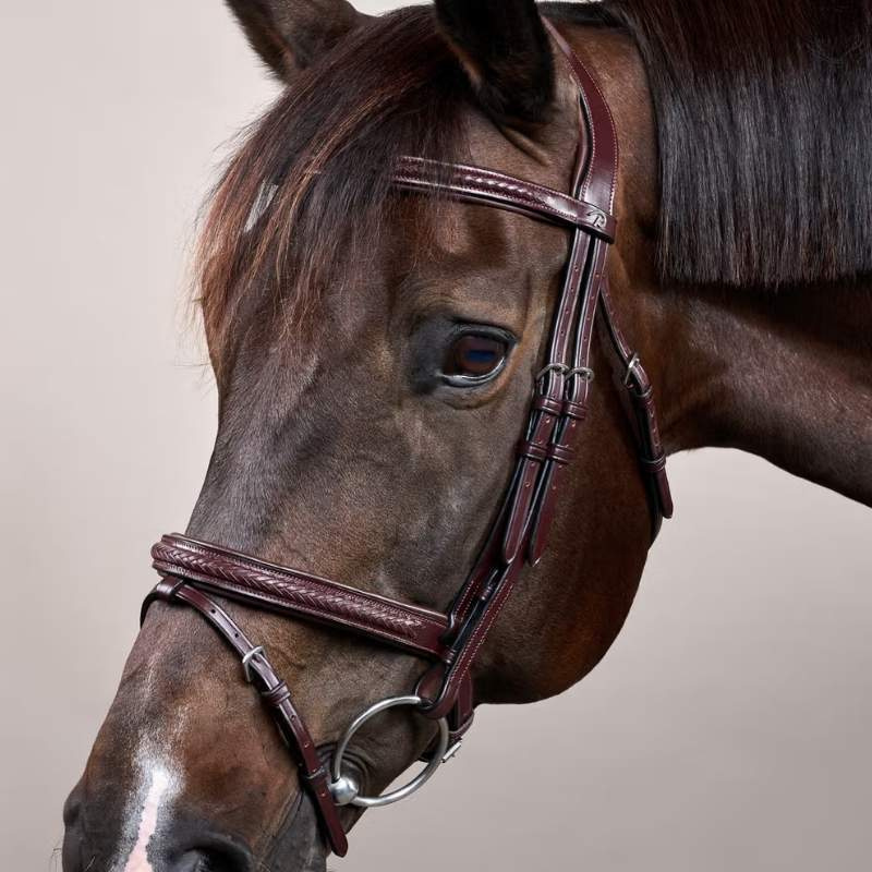 Flash Noseband Bridle Plaited New English Collection Brown