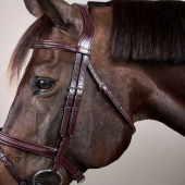 Flash Noseband Bridle Plaited New English Collection Brown Flash Noseband Bridle Plaited New English Collection Brown
