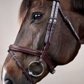 Flash Noseband Bridle Plaited New English Collection Brown Flash Noseband Bridle Plaited New English Collection Brown