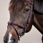 Flash Noseband Bridle Plaited New English Collection Brown Flash Noseband Bridle Plaited New English Collection Brown