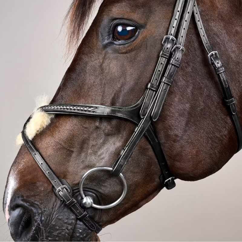 Figure 8 Noseband Bridle Plaited New English Collection Black
