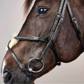 Figure 8 Noseband Bridle Plaited New English Collection Black Figure 8 Noseband Bridle Plaited New English Collection Black