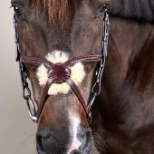 Figure 8 Noseband Bridle Plaited New English Collection Brown Figure 8 Noseband Bridle Plaited New English Collection Brown