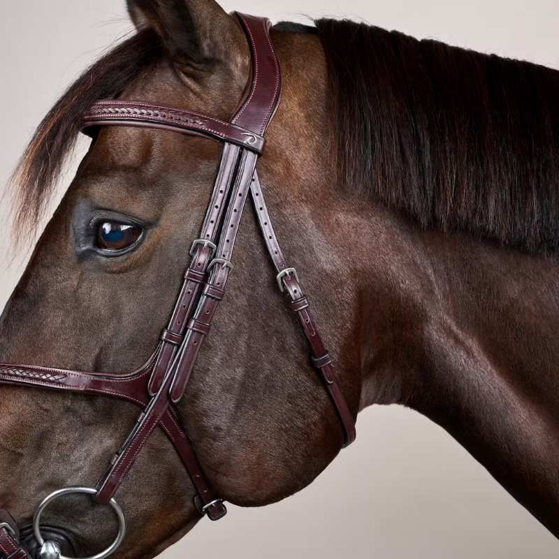 Figure 8 Noseband Bridle Plaited New English Collection Brown
