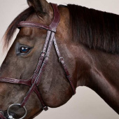 Figure 8 Noseband Bridle Plaited New English Collection Brown Figure 8 Noseband Bridle Plaited New English Collection Brown