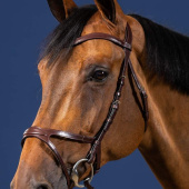 X-Fit Anatomical Bridle New English Collection Brown X-Fit Anatomical Bridle New English Collection Brown