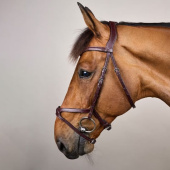 X-Fit Anatomical Bridle NE Brown X-Fit Anatomical Bridle NE Brown