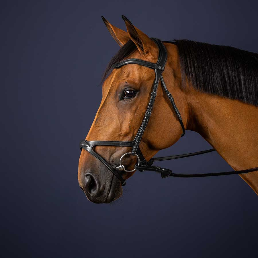 X-Fit Anatomical Bridle NE Black