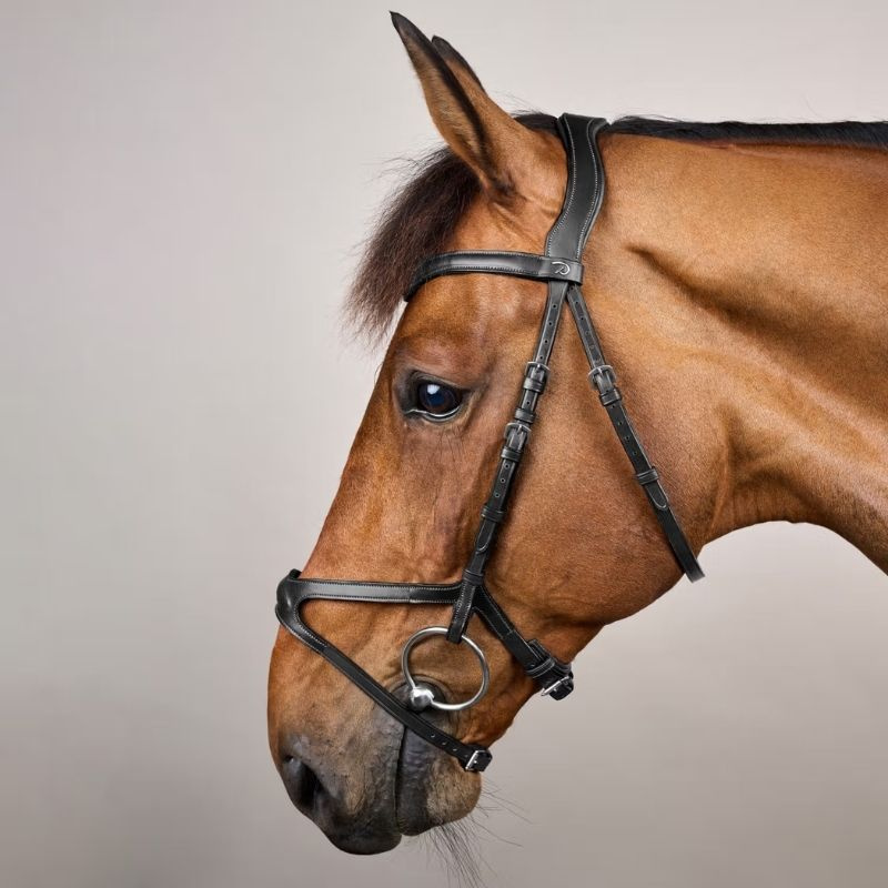 X-Fit Anatomical Bridle NE Black