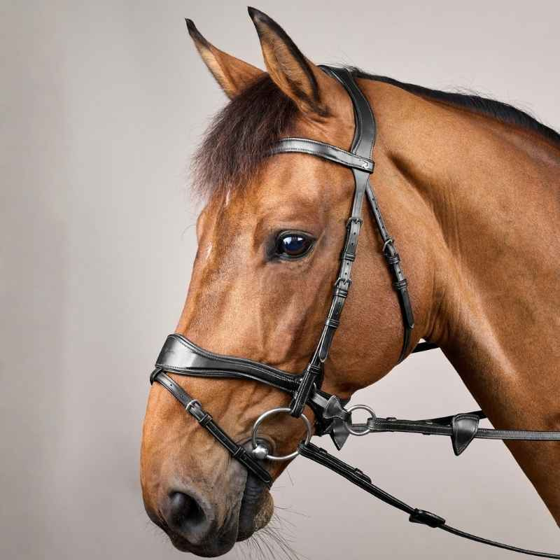 Bridle D Motion New English Collection Black