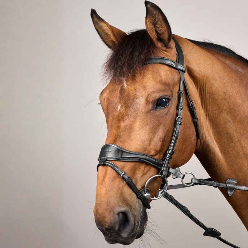 Bridle D Motion New English Collection Black