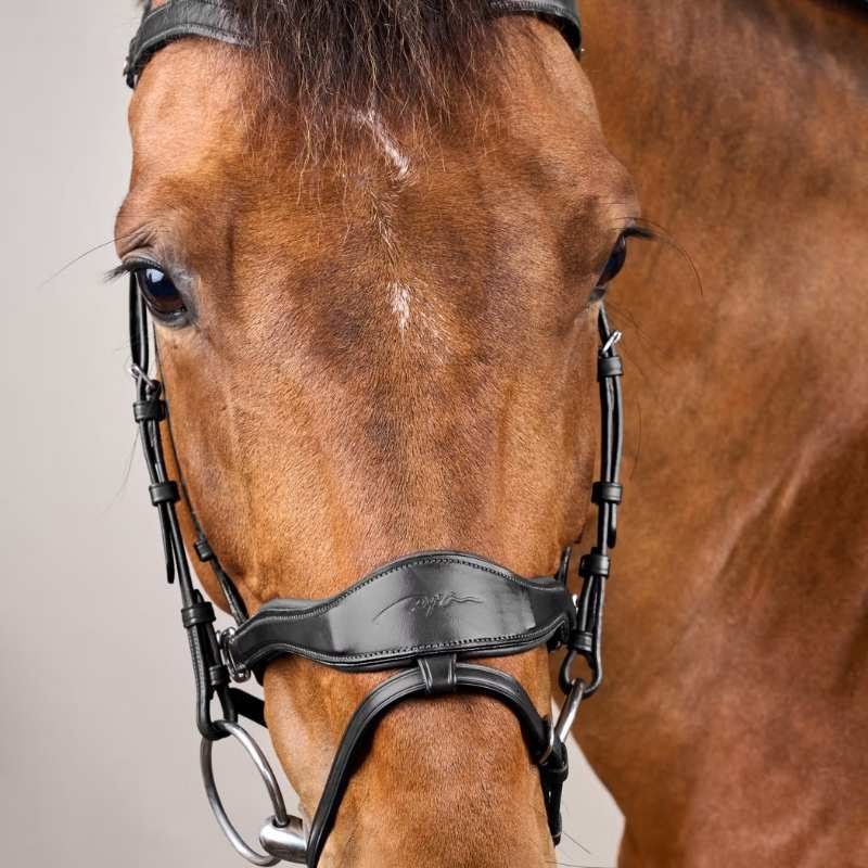 Bridle D Motion New English Collection Black