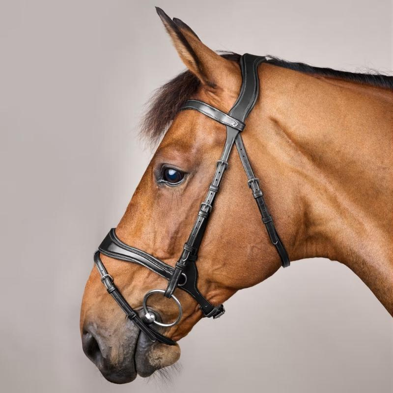 Bridle D Motion New English Collection Black