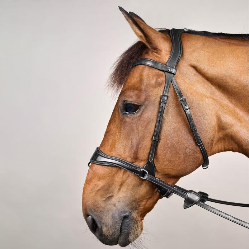 Bridle D Motion New English Collection Black