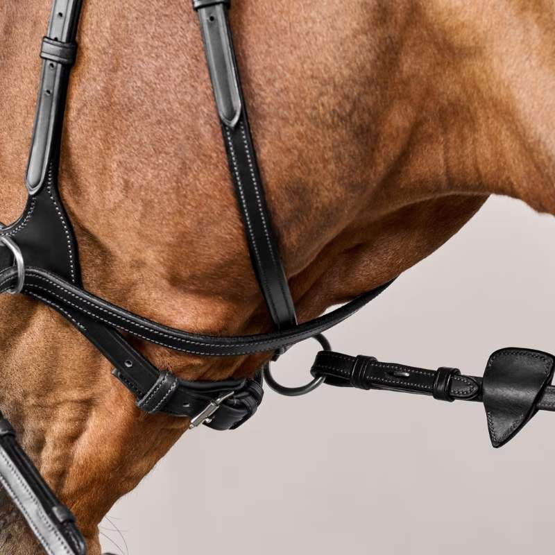 Bridle D Motion New English Collection Black