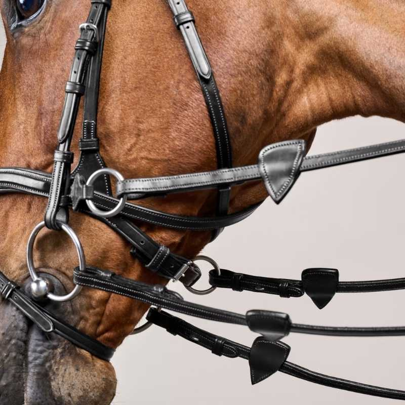 Bridle D Motion New English Collection Black