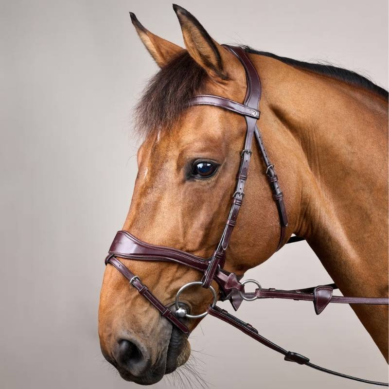 Bridle D Motion New English Collection Brown