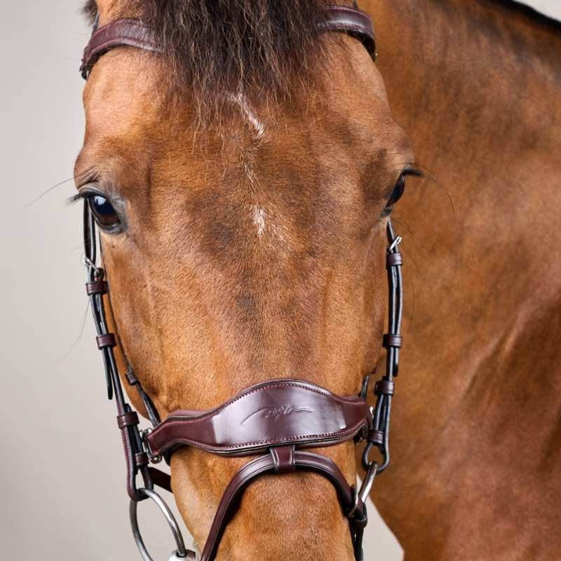 Bridle D Motion New English Collection Brown