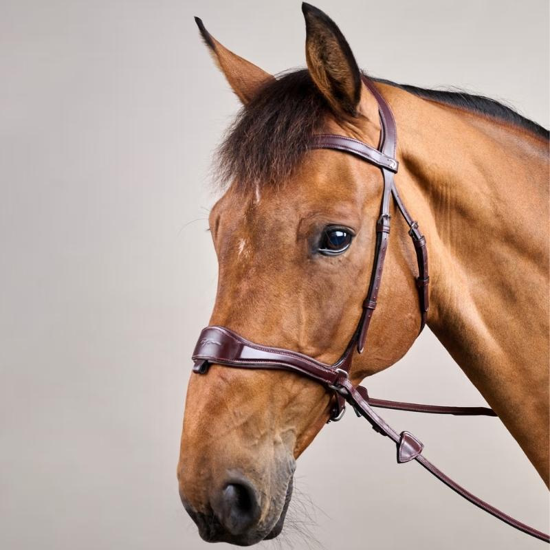 Bridle D Motion New English Collection Brown