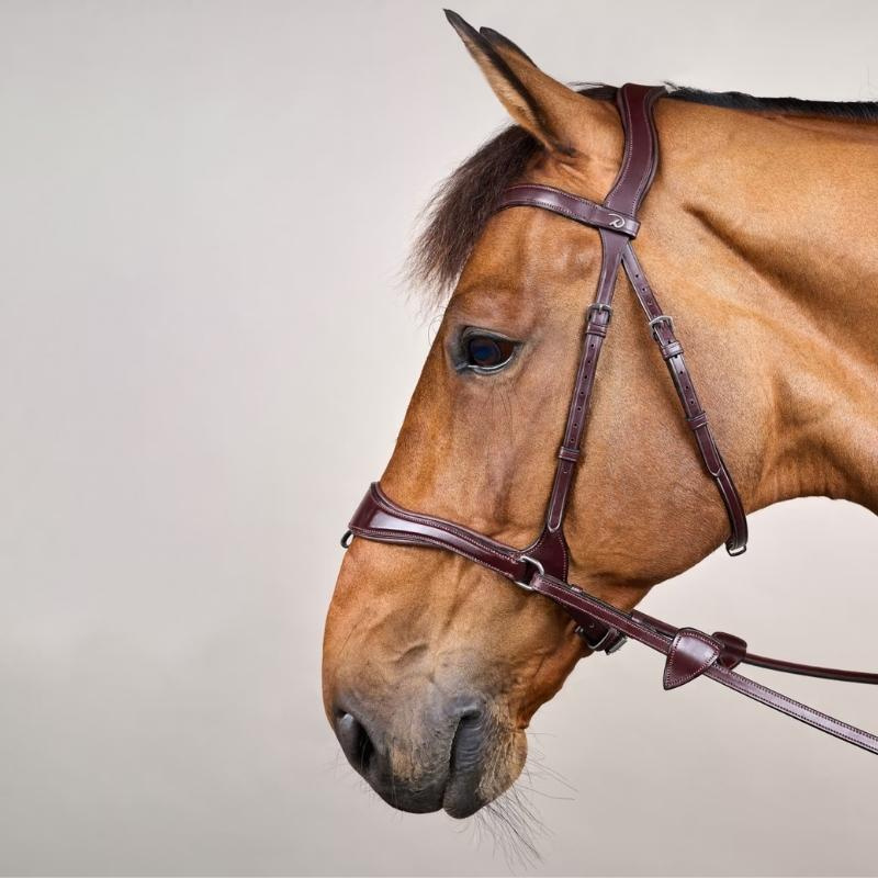 Bridle D Motion New English Collection Brown