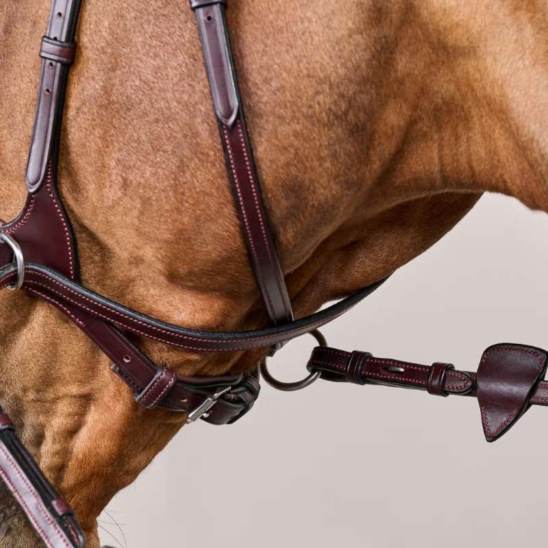 Bridle D Motion New English Collection Brown