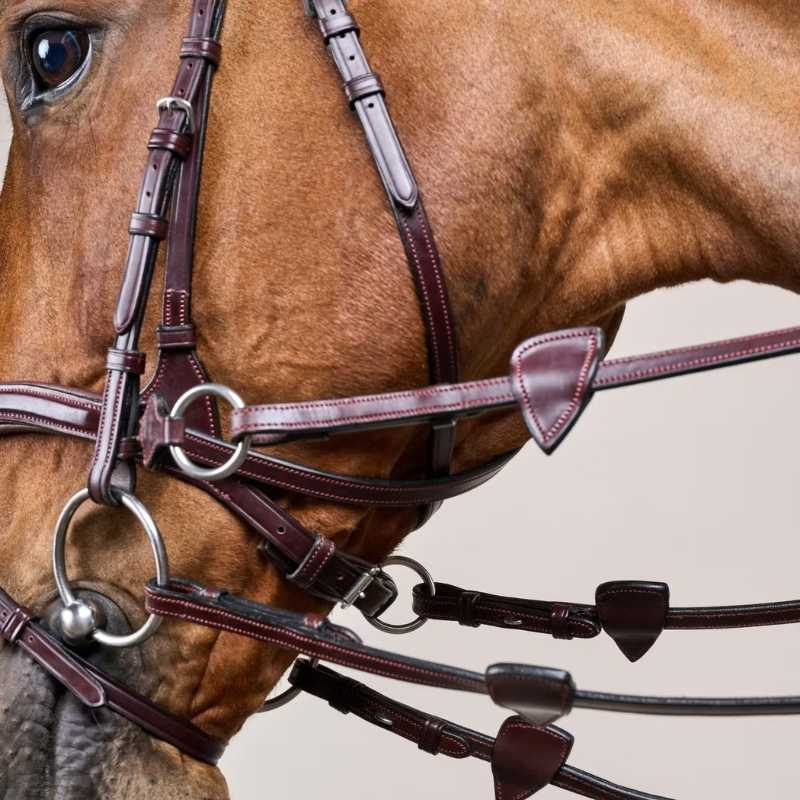 Bridle D Motion New English Collection Brown