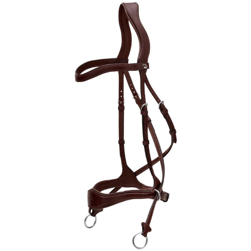 Bridle D Motion New English Collection Brown