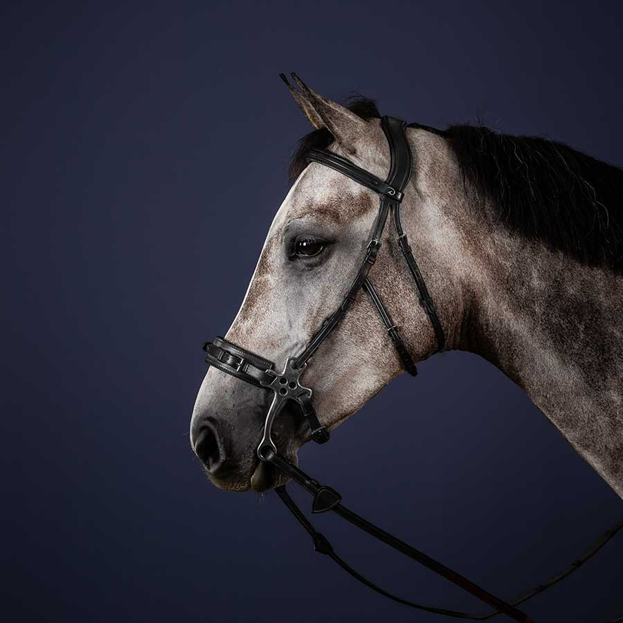 Hackamore Bridle NE Black