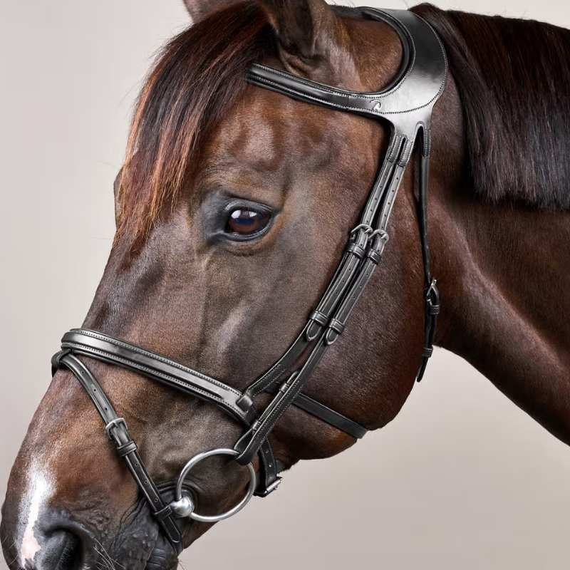 Bridle Difference New English Collection Black