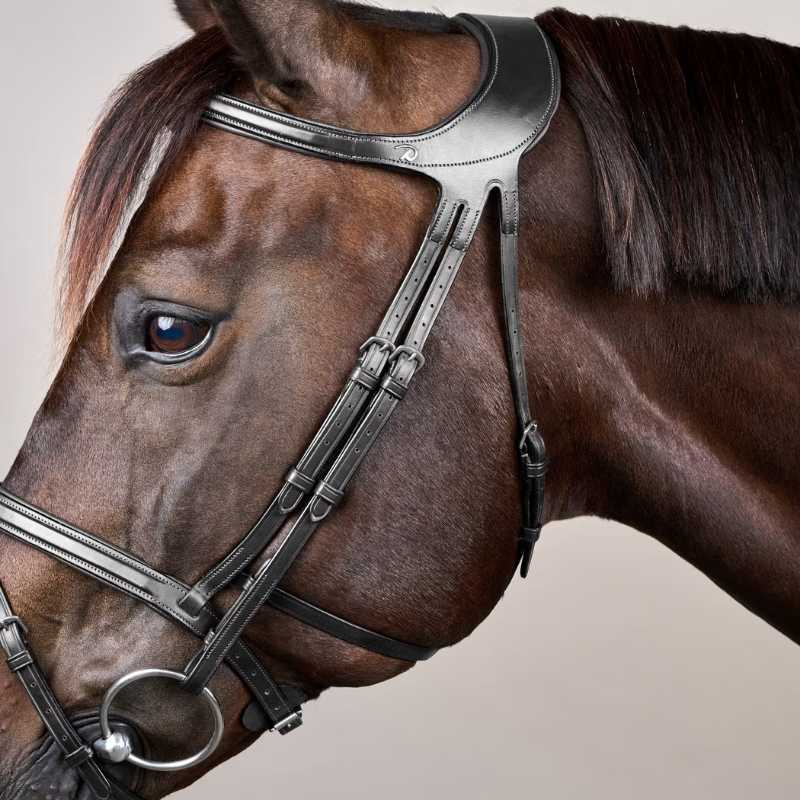 Bridle Difference New English Collection Black