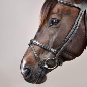 Bridle Difference New English Collection Black Bridle Difference New English Collection Black