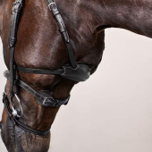 Bridle Difference New English Collection Black Bridle Difference New English Collection Black