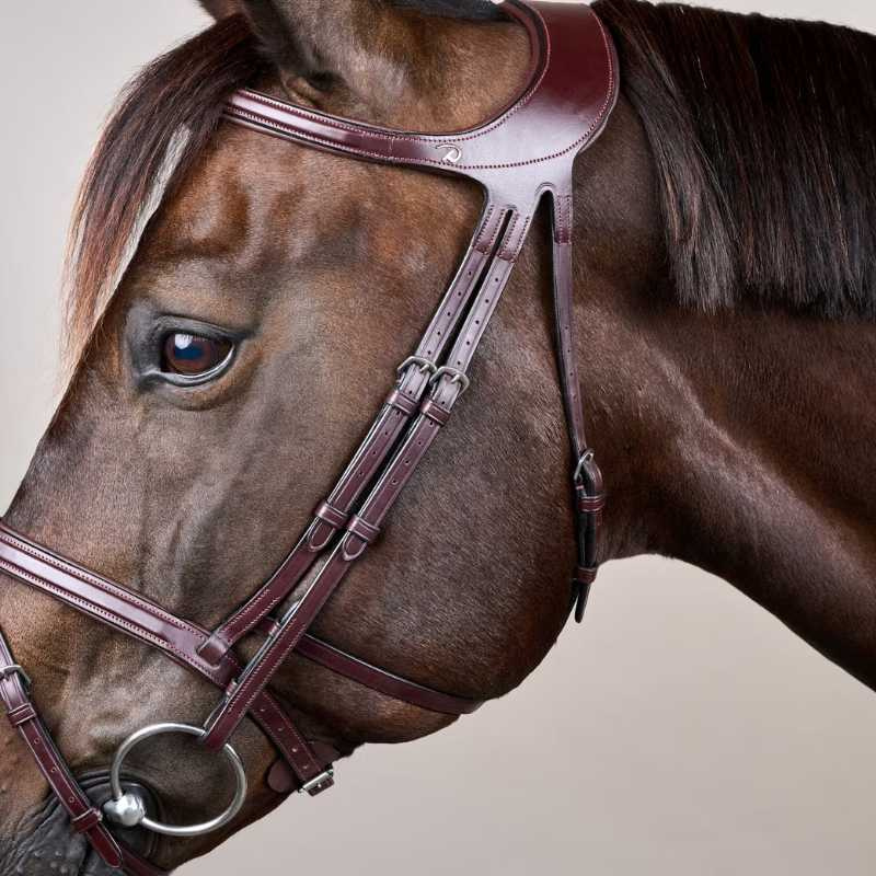 Bridle Difference New English Collection Brown