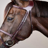 Bridle Difference New English Collection Brown Bridle Difference New English Collection Brown